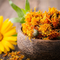 Calendula Tincture 